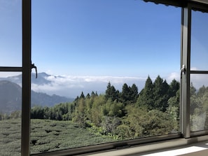 Vista desde la habitación