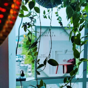 Televisión LCD de 24 pulgadas con canales digitales y televisión 