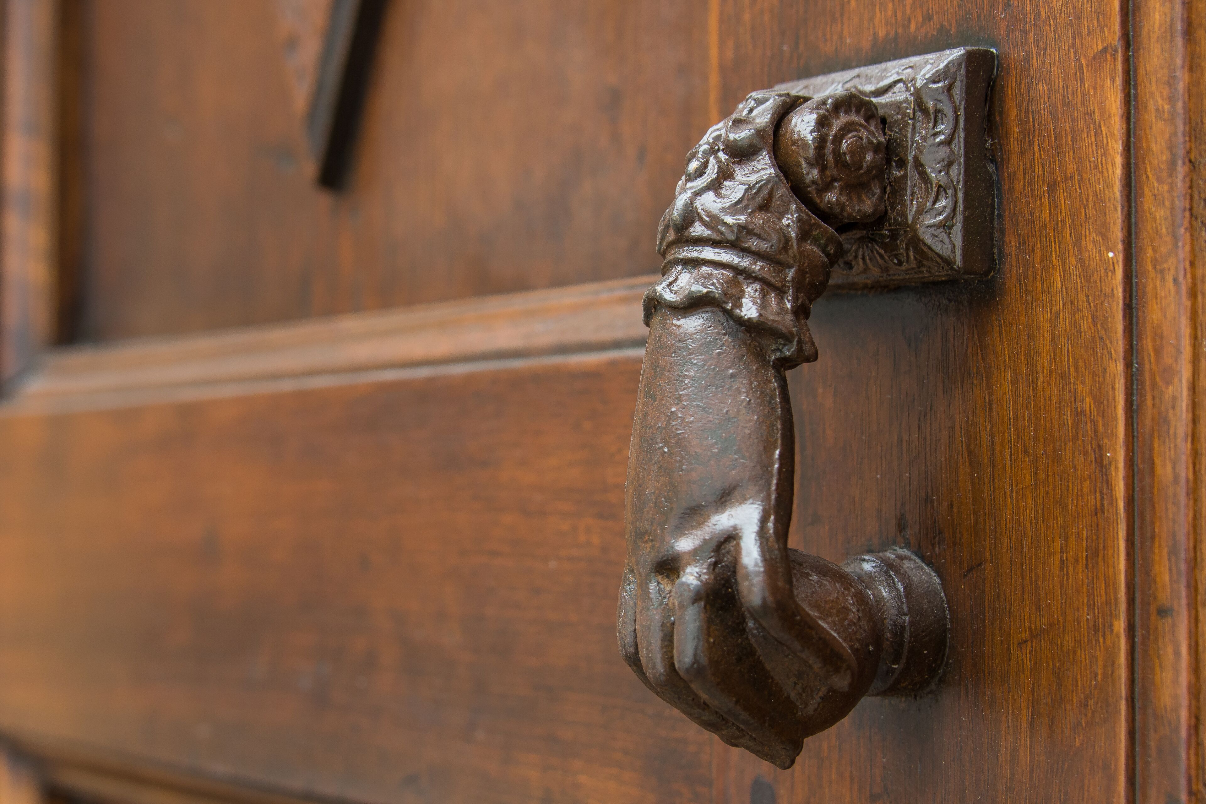 A wooden door with an ornate, antique-style brass door knocker.
