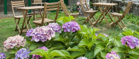 Giardino