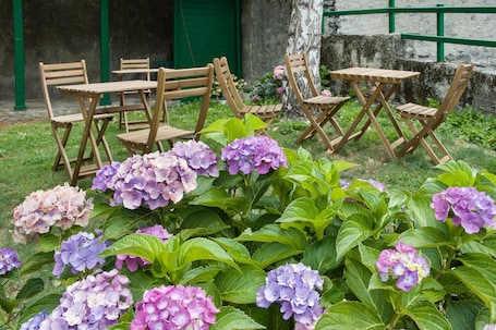 Jardín