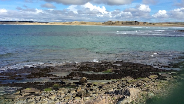 A rocky shoreline with clear water and distant hills under a partly cloudy sky.