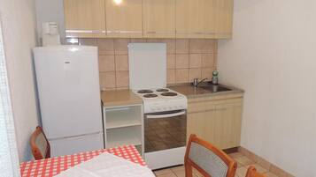 Standard-Apartment, 1 Schlafzimmer (141 – desni) | Eigene Küche | Großer Kühlschrank, Ofen, Herdplatte