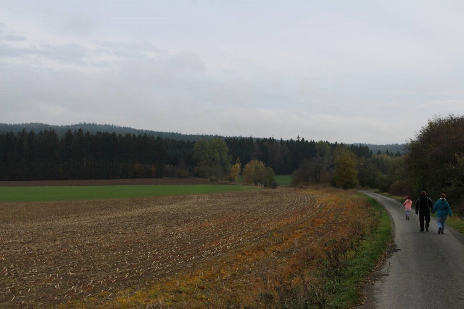 A rural road with fields on either side and a forest in the background.
