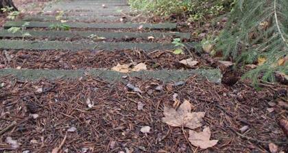 ZumEichhorn2 For hikers, nature lovers and families