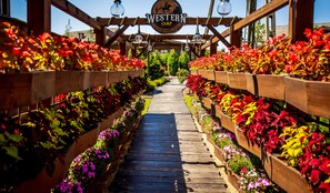 A wooden pathway flanked by flower planters leading to a Western Camp Resort sign. - Western Camp Resort (Zator)