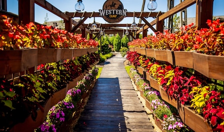 Exterior. Western Camp Resort