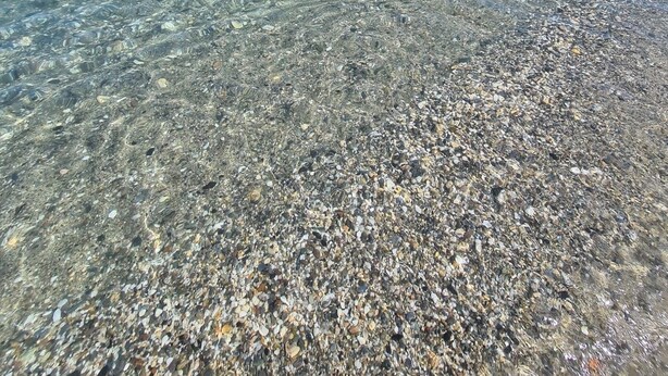A clear view of a pebble beach with calm water and a clear sky. - Pinea Mare (Poggio-Mezzana)
