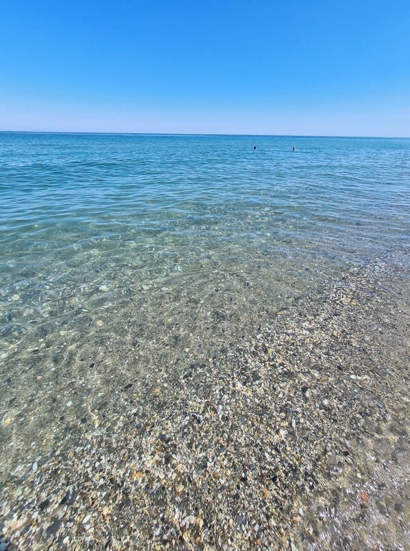 On the beach, white sand - Pinea Mare (Poggio-Mezzana)