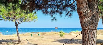 Pinea Mare