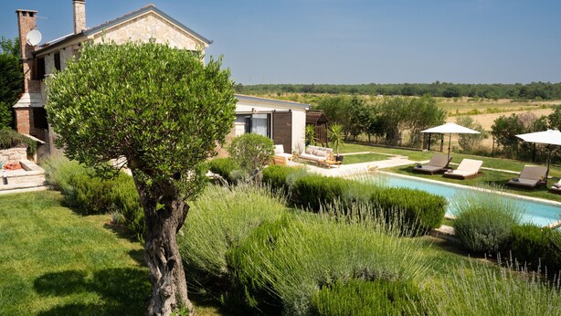 A house with a swimming pool, surrounded by well-maintained lawns and trees. - Villa Royal with heated pool and sauna (Biograd na moru)