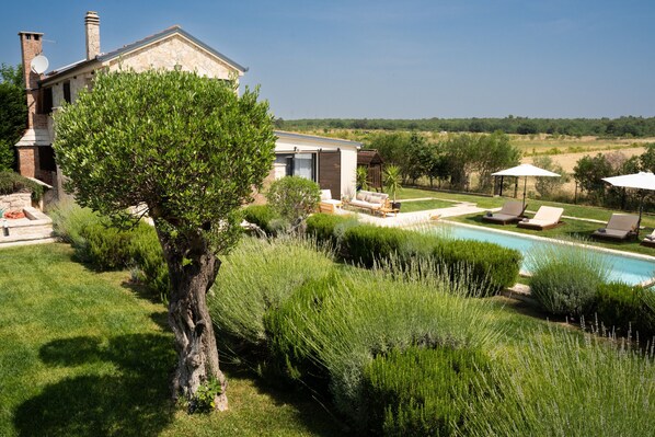 Pool - Villa Royal with heated pool and sauna (Biograd na moru)