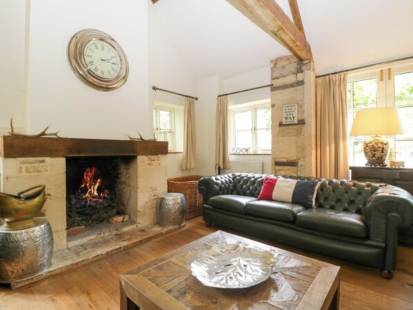 电视、DVD 播放器