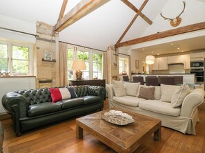 电视、DVD 播放器