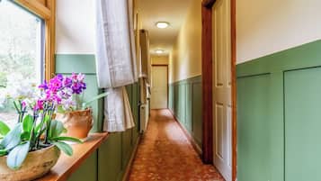 A hallway with a wooden bench, potted plants, and a patterned carpet.