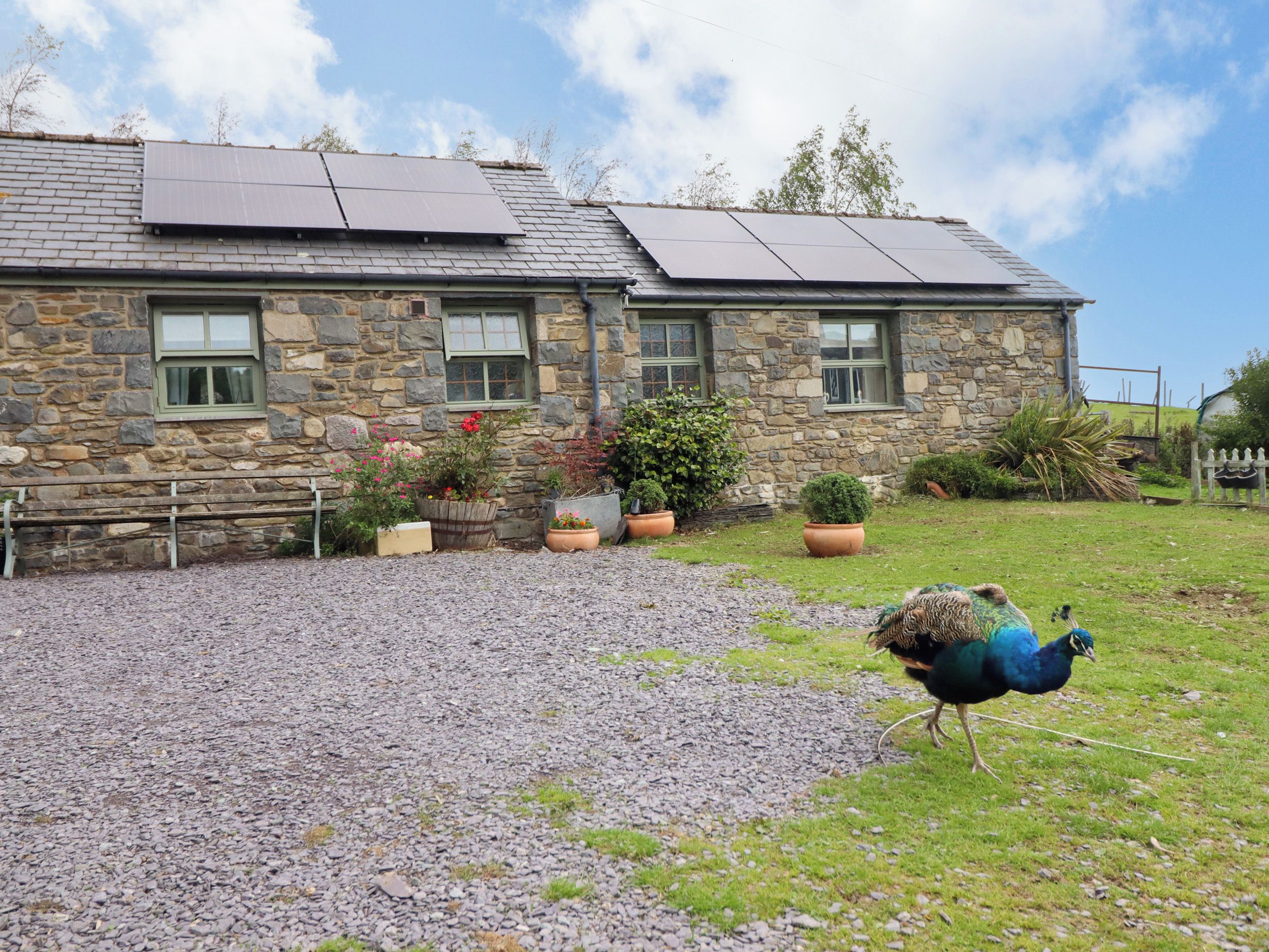Un edificio de piedra con paneles solares en el techo, un camino de grava y un pavo real en primer plano.
