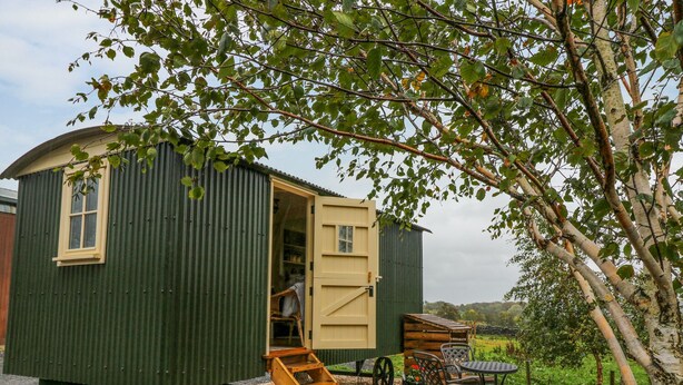 A green wooden cottage with a ladder leading to a door, a small table, and chairs outside.