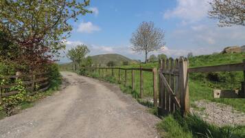 Cottage | Property grounds