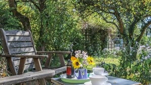 A wooden bench and table set outdoors with a cup and saucer, a teapot, and a vase with flowers. - The Daffodil Shed (Yelverton)