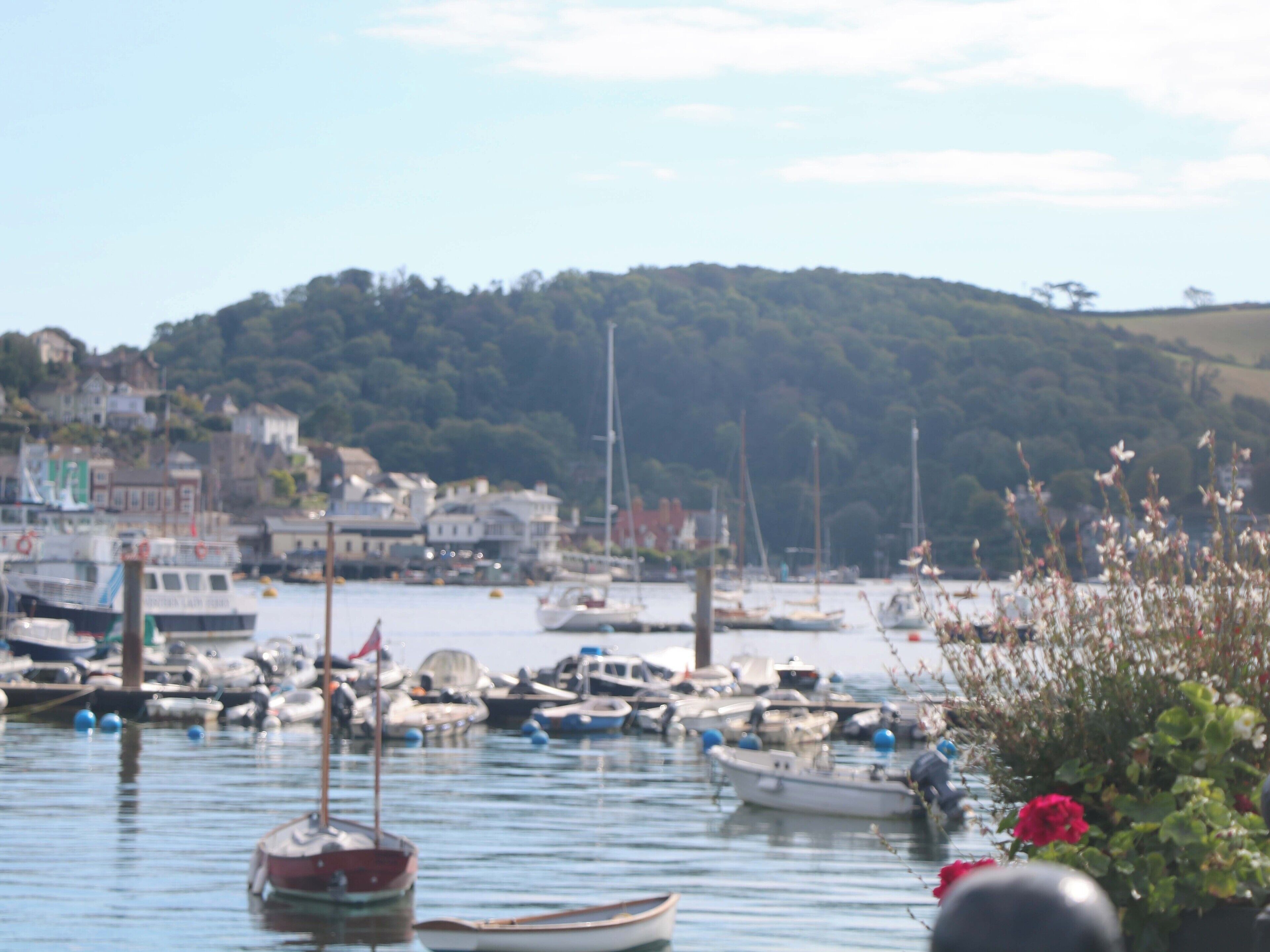 A harbor with boats docked, a hill with buildings in the background, and a clear sky.