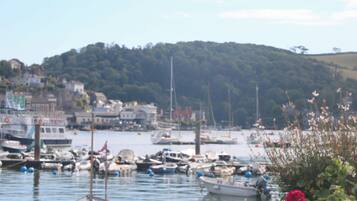 A harbor with boats docked, a hill with buildings in the background, and a clear sky.
