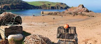 Cove View