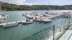 A marina with boats docked, a wooden pier, and a glass railing. - 7 Dart Marina (Dartmouth)