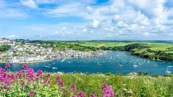 A coastal town with a marina filled with boats, surrounded by green fields and a clear blue sky.