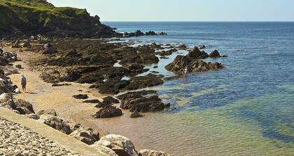 7 Thurlestone Rock