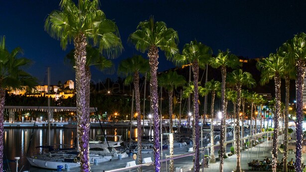 A marina at night with palm trees and boats. - Very bright apartment in the historic center - MALAMA B2  (Málaga)
