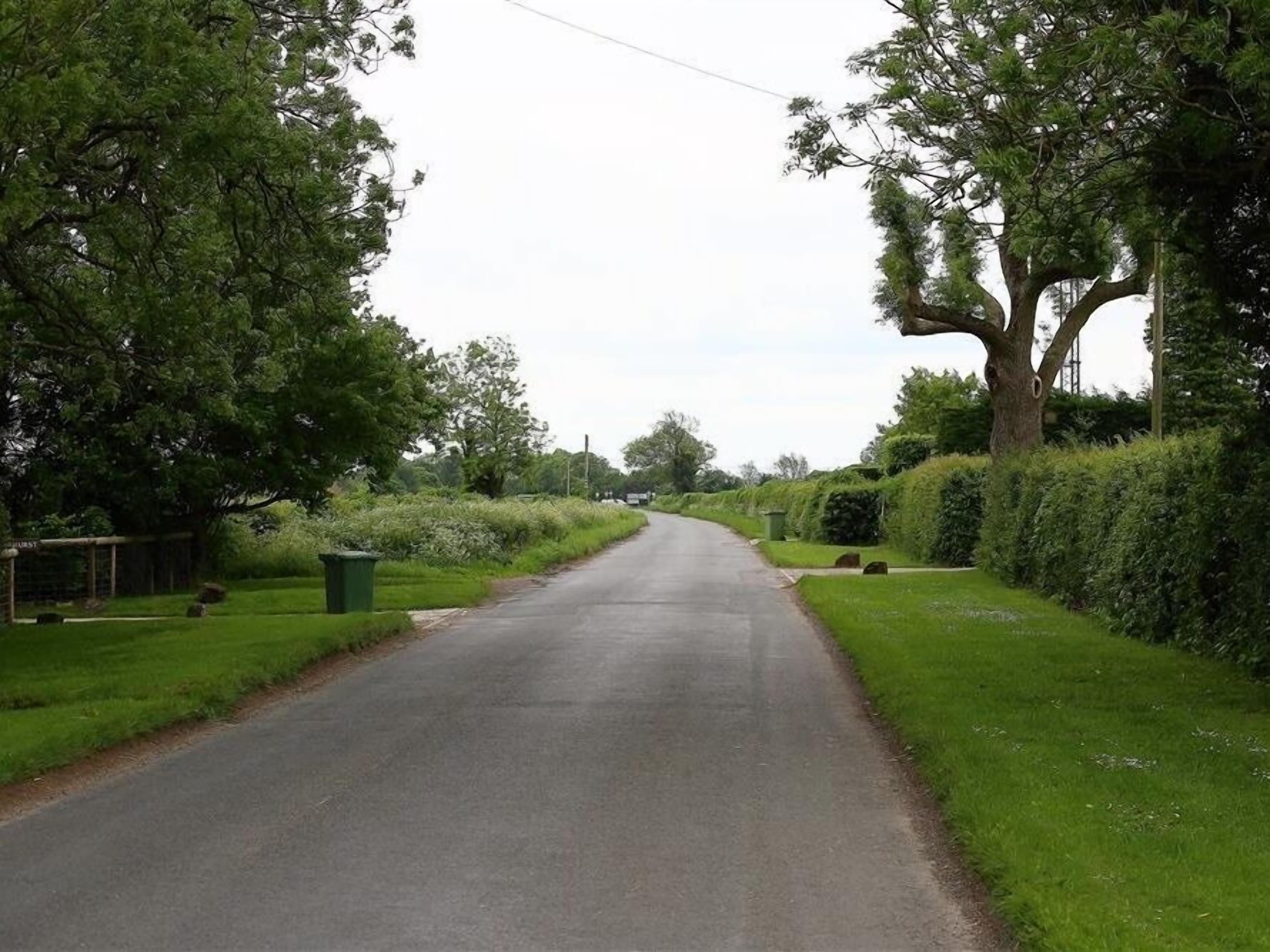 Een landweg omzoomd door bomen en heggen.