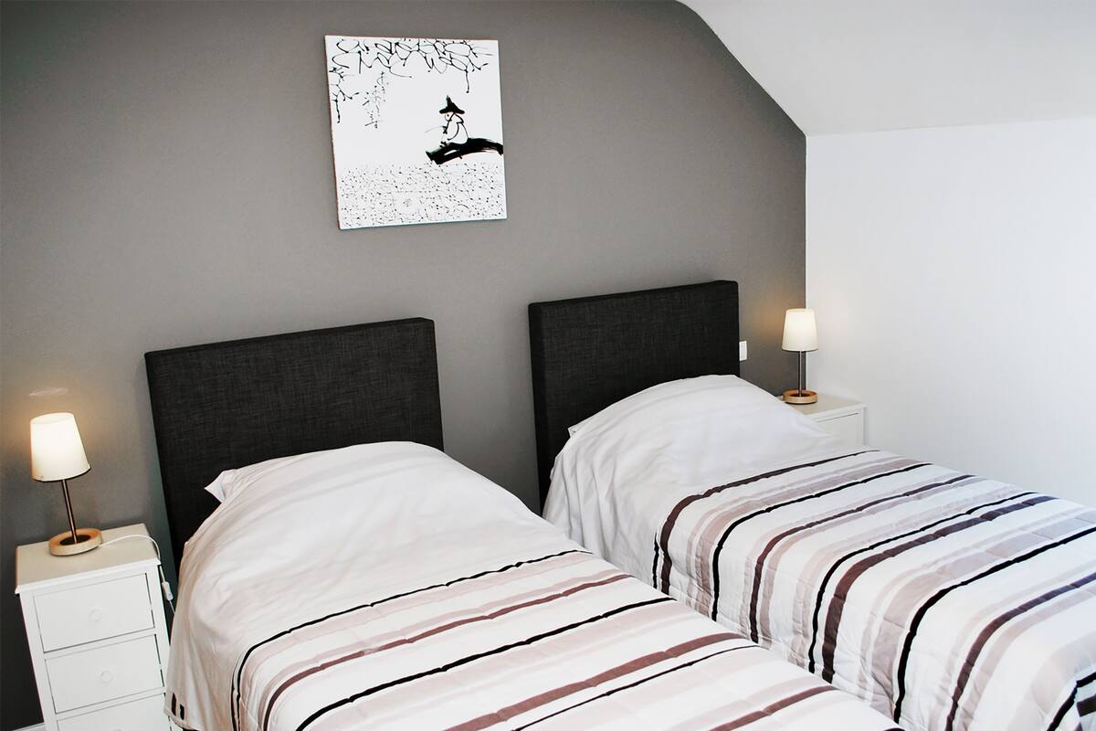 Een slaapkamer met twee eenpersoonsbedden, elk met een donker hoofdbord en wit beddengoed met strepen. Er staan nachtkastjes met lampen en er hangt een kunstwerk aan de muur boven de bedden.
