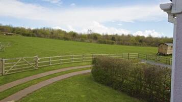 Een landelijk landschap met een grasveld, een houten omheining en een gebouw met een witte gevel.