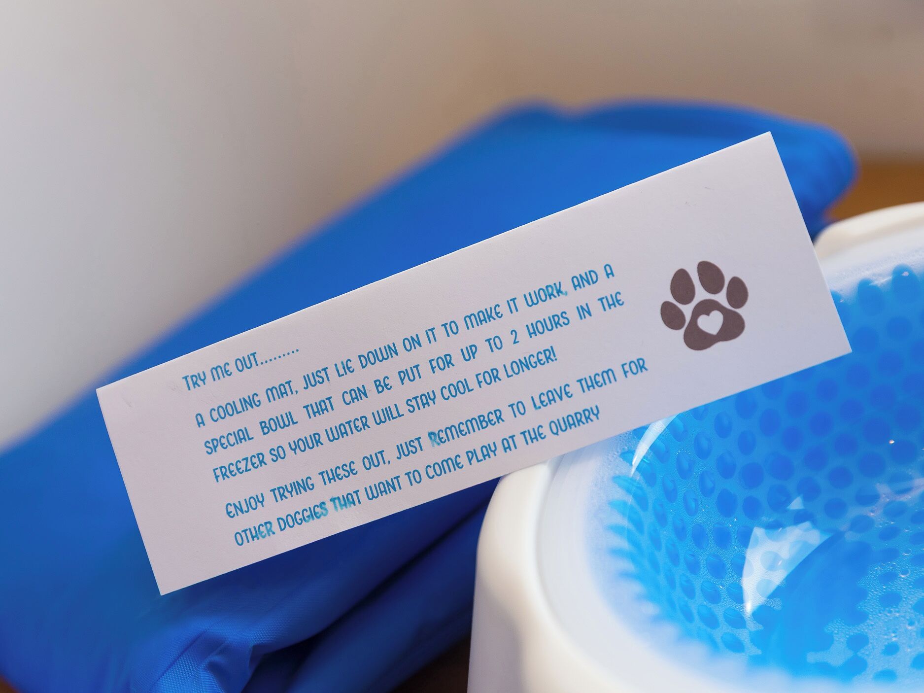 Tarjeta blanca con instrucciones para una colchoneta refrescante, un cuenco especial y un congelador.