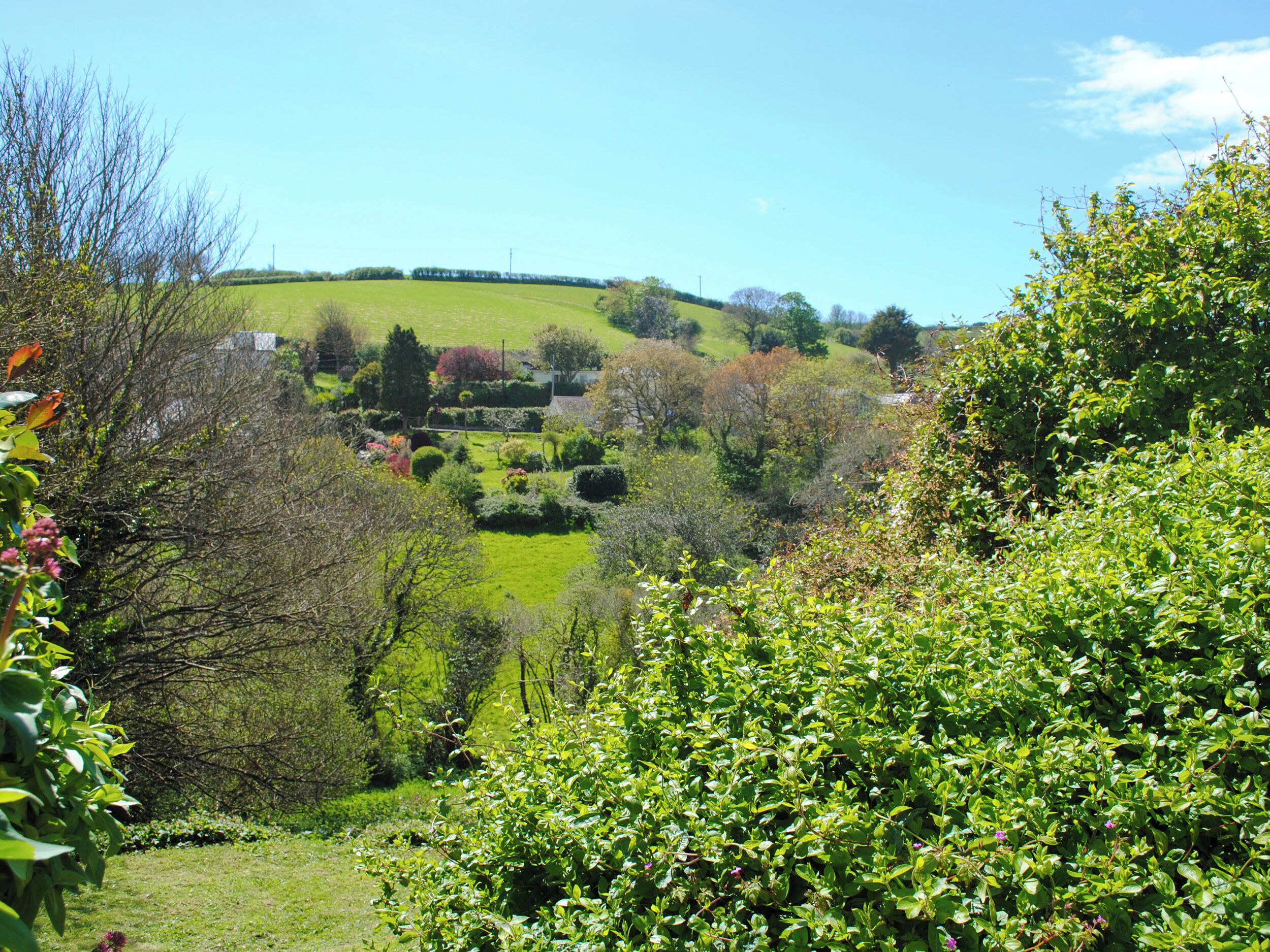 Un paisaje exuberante con colinas ondulantes, diversidad de árboles y un cielo azul despejado.