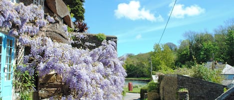 Cottage | Property grounds