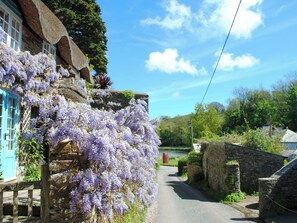 Cottage | Enceinte de l’hébergement