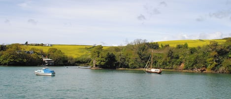 Un lago tranquilo con barcos, rodeado de colinas verdes y un cielo despejado.