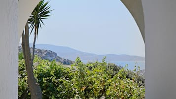 Double or Twin Room | Garden view