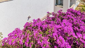 A modern white building with a pergola, a balcony, and vibrant purple flowers in the foreground. - Ailouros summer hotel (Naxos)