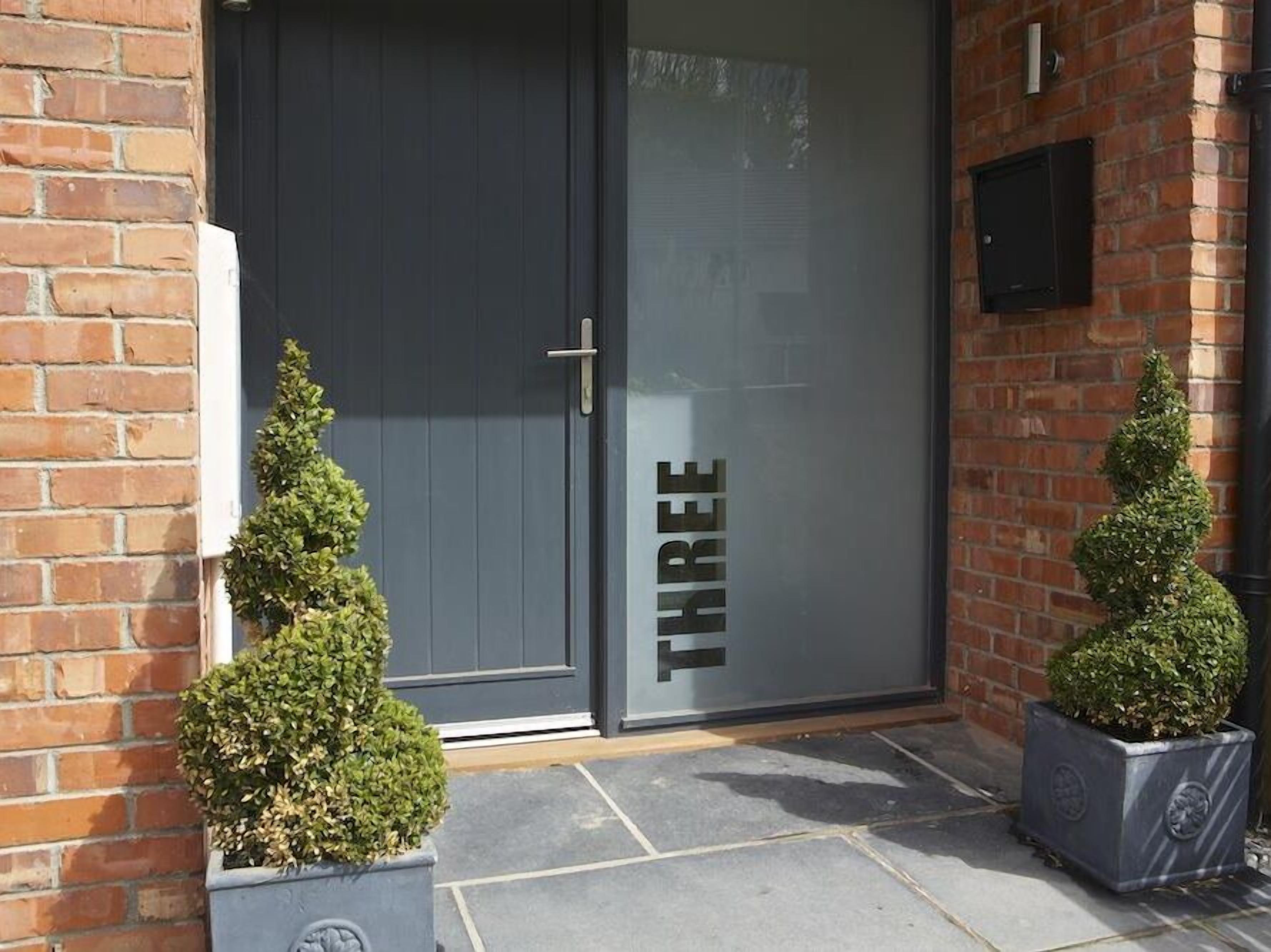 A modern building entrance with a dark grey door, a small potted plant on the left, and another on the right.