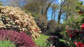 Cottage | Property grounds