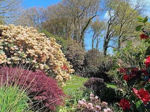 A garden with various flowering plants and trees. - The Patio Flat (Bodmin)