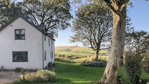 A white house with a sloped roof, a well-maintained lawn, and a large tree in the foreground. - Garth Cottage (Denbigh)