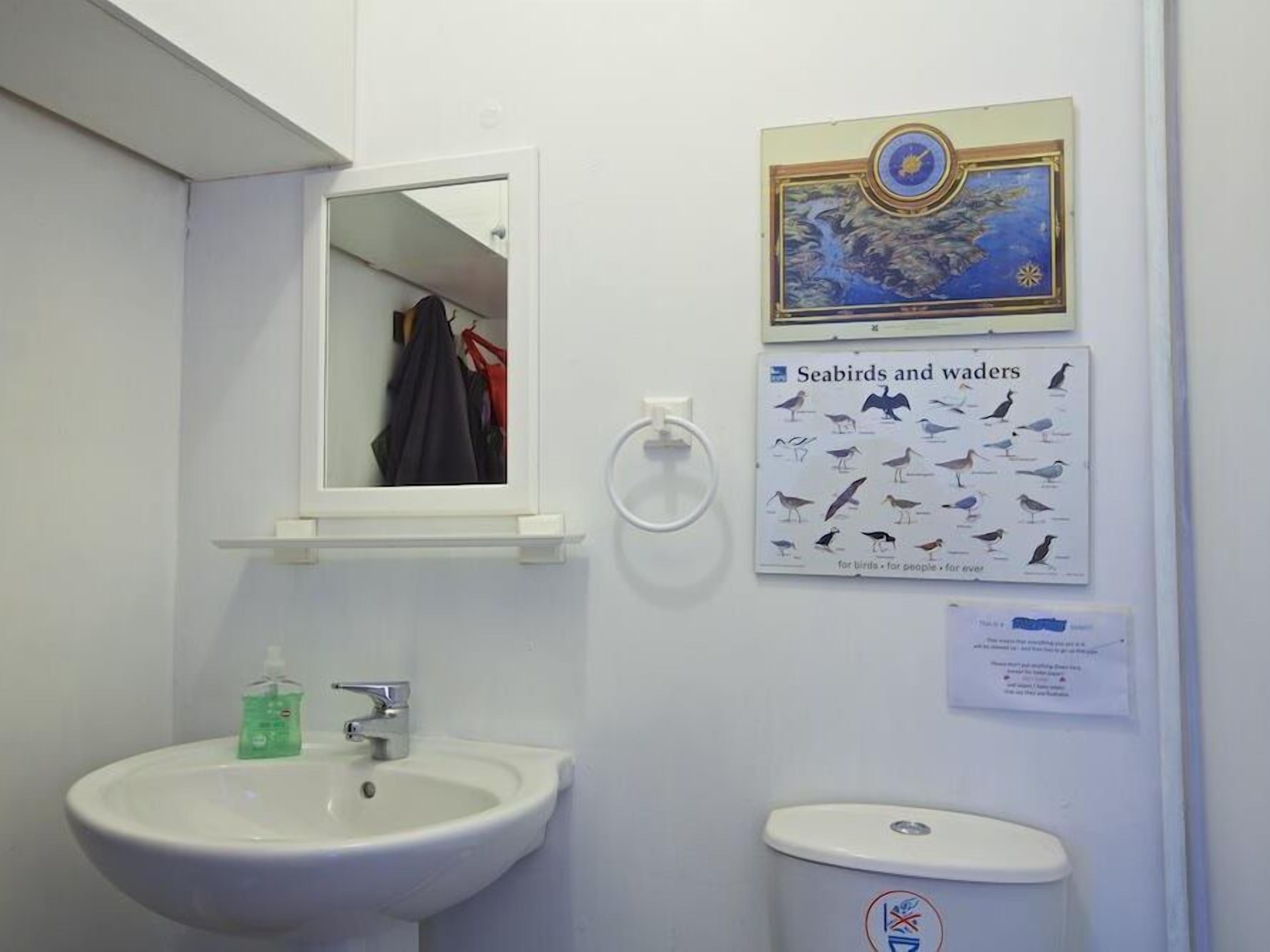 A bathroom with a sink, mirror, and a poster of seabirds and waders.