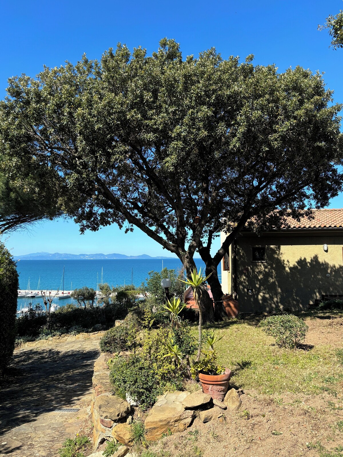 Imagen de perfil del propietario o de la propietaria