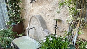 Una fuente de piedra con agua que fluye hacia una pileta rectangular, rodeada de plantas en macetas y una estatua decorativa de una rana.