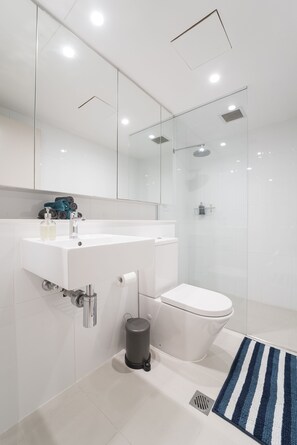 Shower, hair dryer, towels, toilet paper