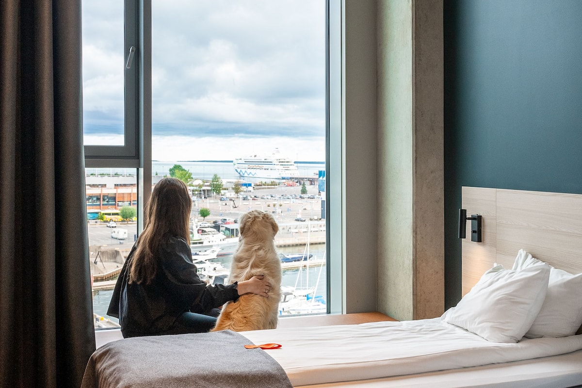 twin room | 1 bedroom, individually decorated, individually furnished, desk