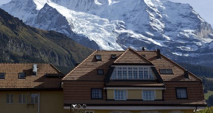 Apartment Jungfrauview